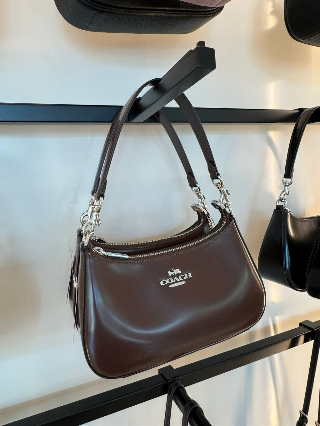Coach Teri Mini Crossbody Bag